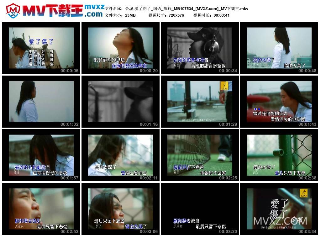 金城-爱了伤了_国语_流行_MB107534